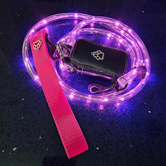 002 Pink Leash