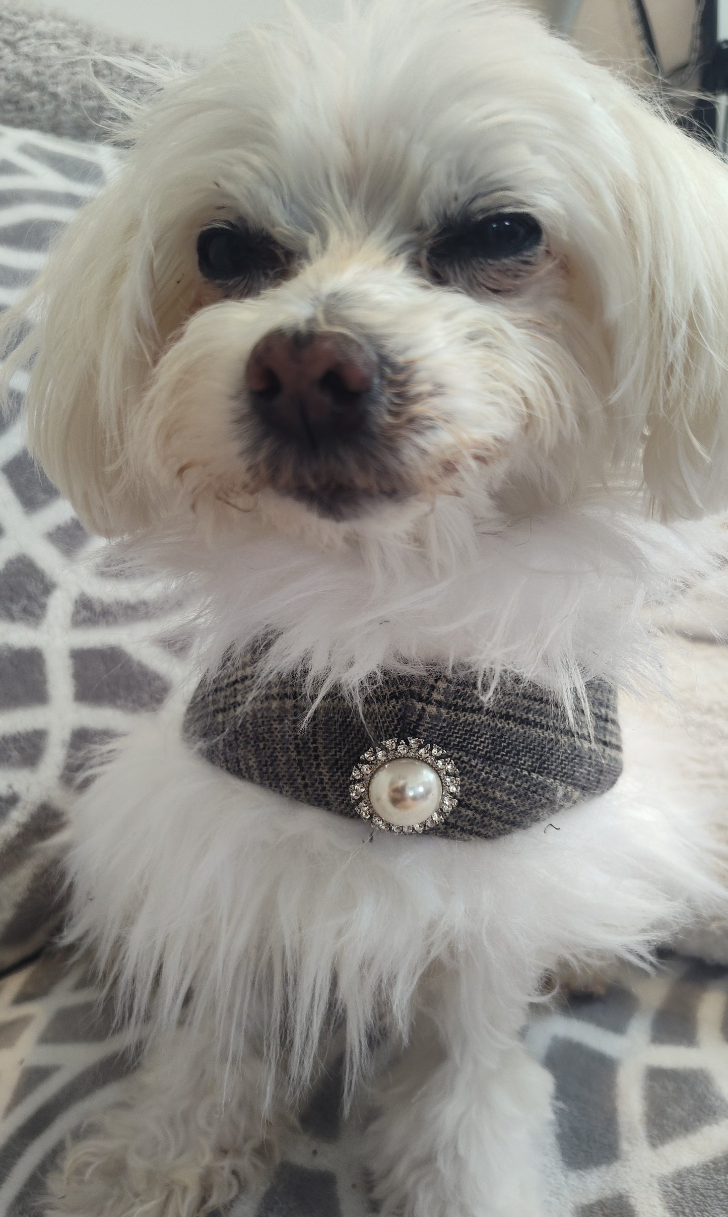 Grey plaid with white fur shawl( size small doggy)